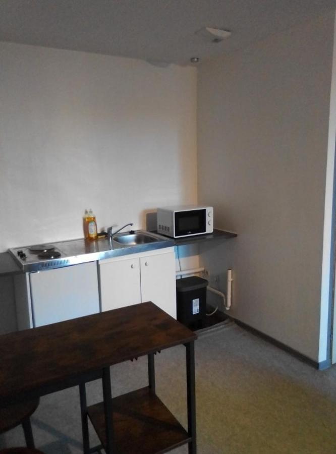 Appartement Tout Equipe Hypercentre Limoges Eksteriør billede